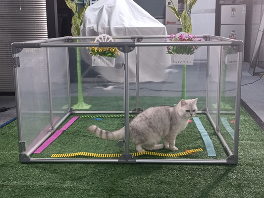 Pet Playpen Kennel in house mode stijl met poedercoating en elektroforese