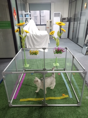12 panelen zichtbaar hek huisdier acryl hond speeltuin voor reptielen aangepast dikte 3 mm