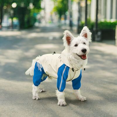 jassen jassen voor kleine dieren aangepast huisdier regenjas in het herfstseizoen maten S-XL