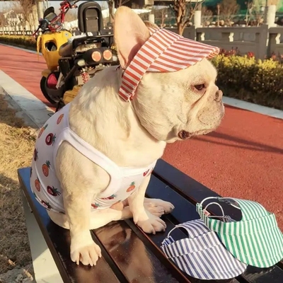 OEM ODM Acceptabel Op maat gemaakte Modieuze Pet Hoed Hond Baseball Cap Modieuze stijl