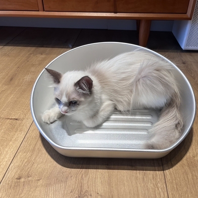 Handwas Groot huisdier Kattenpotten Pan Solid Patroon Handschoonmaak Kitty Kat Toiletdoos