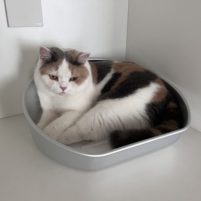 Handwas Groot huisdier Kattenpotten Pan Solid Patroon Handschoonmaak Kitty Kat Toiletdoos