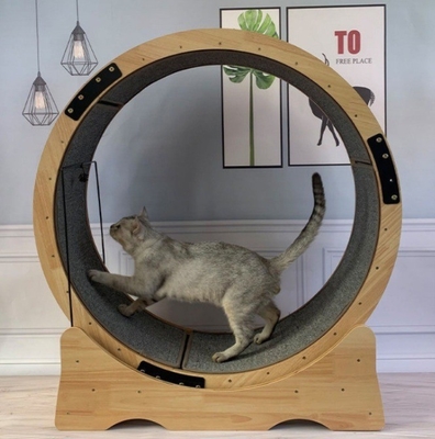 Kattenklimframe Fiberboard Kattenwiel loopband Stil oefening hardlopend speelgoed voor katten