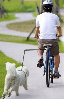Buiten huisdier hardlopen fiets hond lijn handen gratis fiets lijn voor zwarte honden