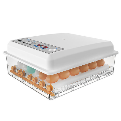 Incubator voor het uitpluimen van kippen, eenden, ganzen en duiven eieren