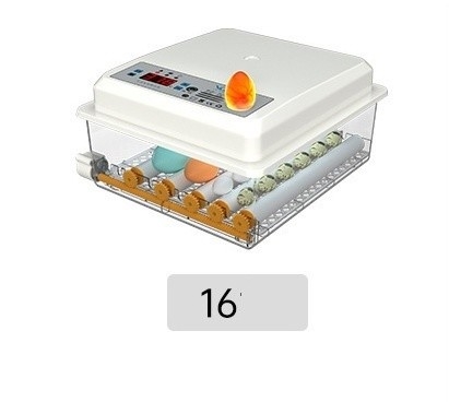 Incubator voor het uitpluimen van kippen, eenden, ganzen en duiven eieren