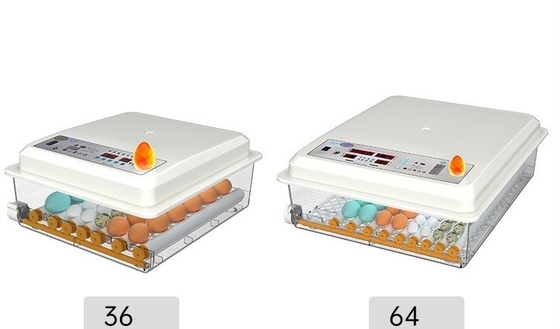 Incubator voor het uitpluimen van kippen, eenden, ganzen en duiven eieren