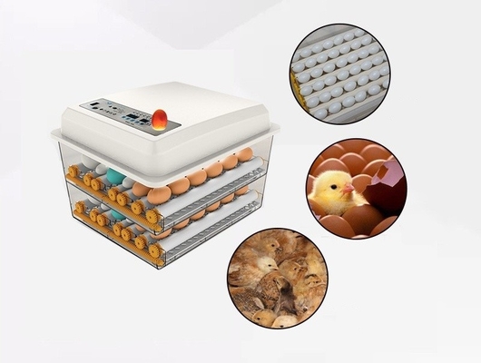 Incubator voor het uitpluimen van kippen, eenden, ganzen en duiven eieren