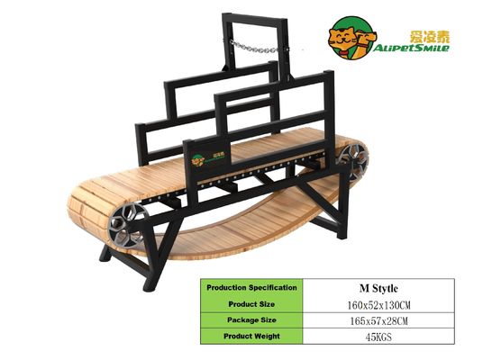 De veiligste manier voor uw hond om goed te trainen