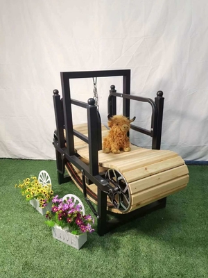 Handmatige trainingsapparatuur voor kleine honden met een aangepast gewicht en een dikte van 0,30 mm