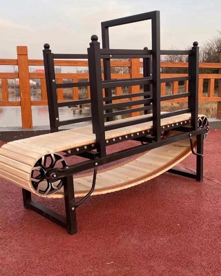 IJzeren grote hondenscooter voor zelfrijdende oefening 175cm*52cm*130cm/200cm*58cm*150cm