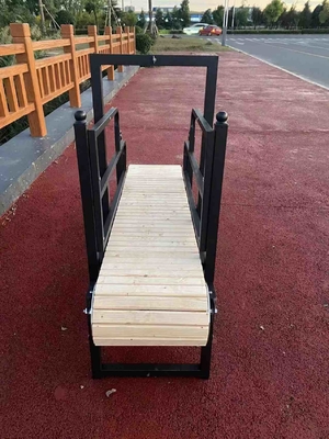 Grote loopband voor honden voor training maatwerk SAP gewicht en staal/aluminium materiaal