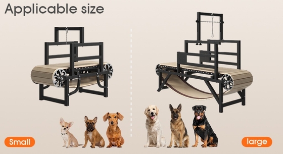 Roestvrij staal hondenscootband voor Alipetsmile Animal De perfecte trainingsgenoot