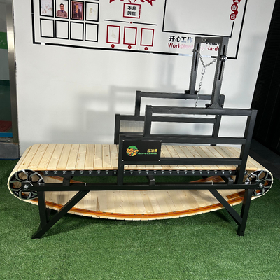Indoor Pet Treadmill met custom logo en prestaties van roestvrij staal
