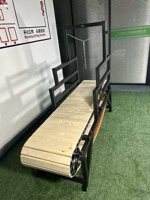 Huisdieren dagelijkse training Agility Equipment Custom SAP Weight Dog Treadmill Wandelmachine