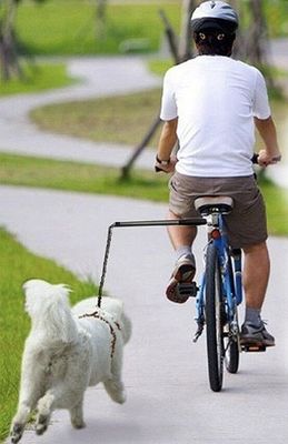 Buiten huisdier hardlopen fiets hond lijn voor buiten oefening Handen gratis fiets lijn