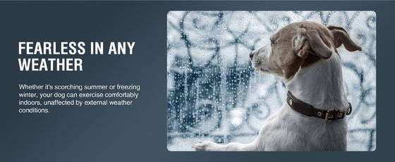 Duurzame hondenwandelmachine Custom SAP gewicht en behendigheid apparatuur voor actieve pups