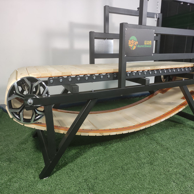 Indoor sporthondentrainingsmachine aangepaste loopband voor hardlopen en sporten