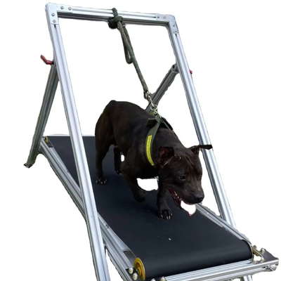 Hondenbeweging Slatmill Huisdieren loopband Wandelmachine voor Pit Bull Stocked Carpet Mill