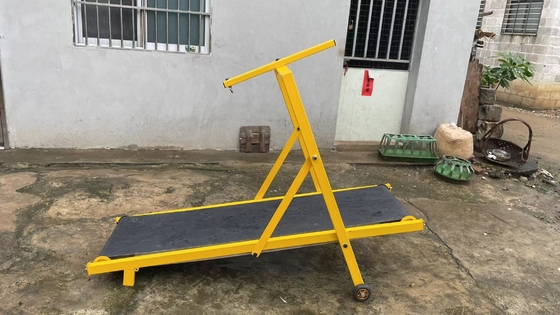 Afklapbare loopband voor honden Steel Agility Equipment in verschillende kleuren en maten