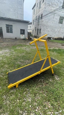 Kleurrijke opvouwbare loopband voor honden Steel Agility Equipment voor honden in duurzaam ontwerp