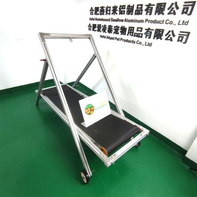 Snelle verzending naar Shanghai of Nanjing Port Dog Treadmill voor medium en grote honden