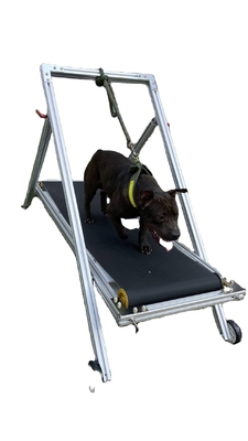 Aluminium medium grote hond tapijt molen voor hardlopen en trainen Acceptabel OEM ODM optie