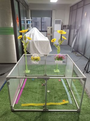 Grote transparante acryl afneembare veiligheidsspelruimte voor reptielen binnen hek voor katten en honden