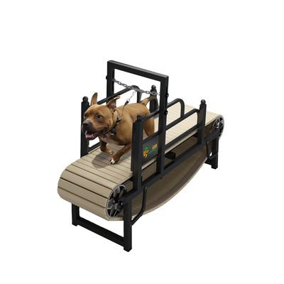 De ultieme trainingsmaat voor kleine tot middelgrote honden