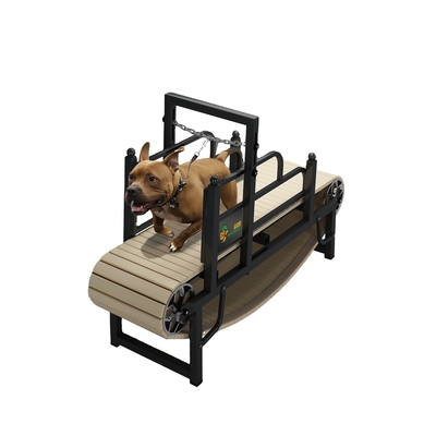 Laadhoeveelheden 40 HQ Laad 168 sets Treadmill voor grote honden