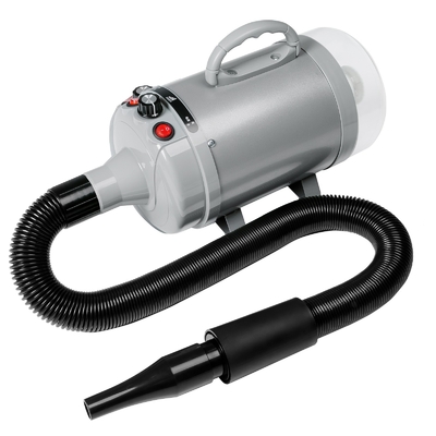 Hoog vermogen 2100W blaaszuigend dubbel motor huisdier haardroger voor honden OEM ODM Acceptabel