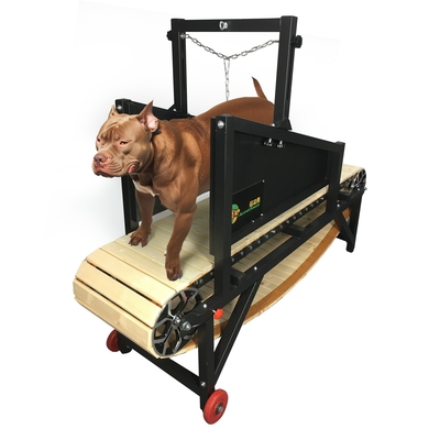 Indoor Outdoor Agility Equipment Houten loopband voor honden van middelgrote omvang
