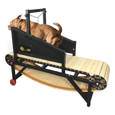 Indoor Outdoor Agility Equipment Houten loopband voor honden van middelgrote omvang