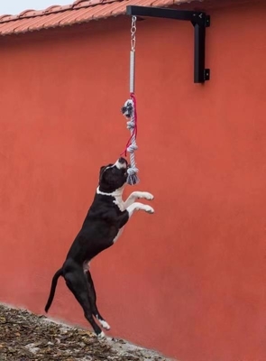 Zwarte hond veerstang voor zware lading uit Shanghai of de haven van Nanjing