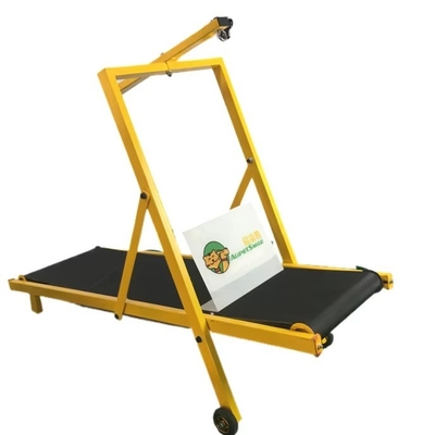 20 GP laden 70 sets verstelbare huisdier hond hardloopmachine ijzeren loopband voor honden training