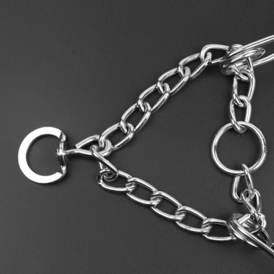 Klantgrootte Metal Afneembare hondentrainingsketen halsband met gepersonaliseerde training