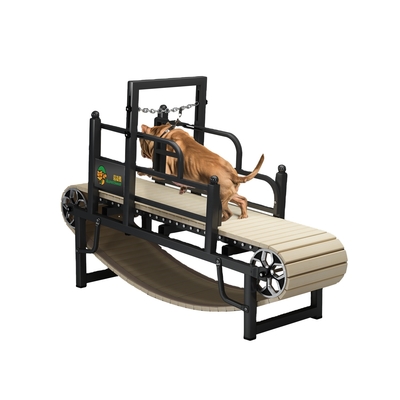 Persoonlijke geluidloze loopband voor huisdieren voor kleine, middelgrote of grote honden Poedercoating Finish