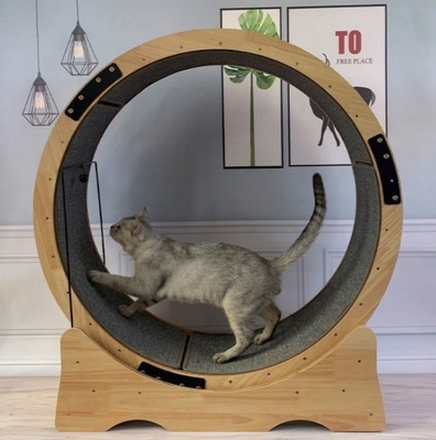 Leuke loopband speeltje voor katten Interactieve anti-depressie vezel board huisdier oefenwiel