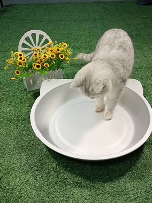 Direct geleverd door fabrikanten 38*38cm/45*45cm koelbed nest voor katten en honden