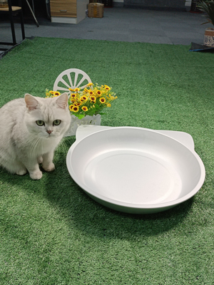 Direct geleverd door fabrikanten 38*38cm/45*45cm koelbed nest voor katten en honden