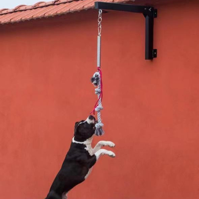 Steel Dog Spring Pole Set Sterk en duurzaam trainingsmateriaal voor huisdieren