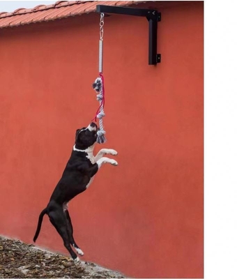 Stevige stalen veerstang voor middelgrote en grote honden tot 105 lbs/210lbs Gebouwd om te duren