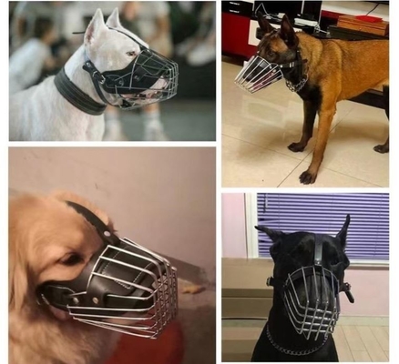 Huisdiertraining Essentiële vaste metalen en leer honden snuit met kleurrijke decoratie