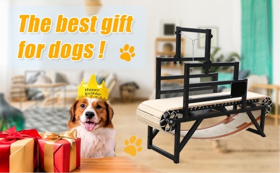 Alipetsmile Versie 2.0 Houten loopband voor honden die de hondensport naar een hoger niveau brengt
