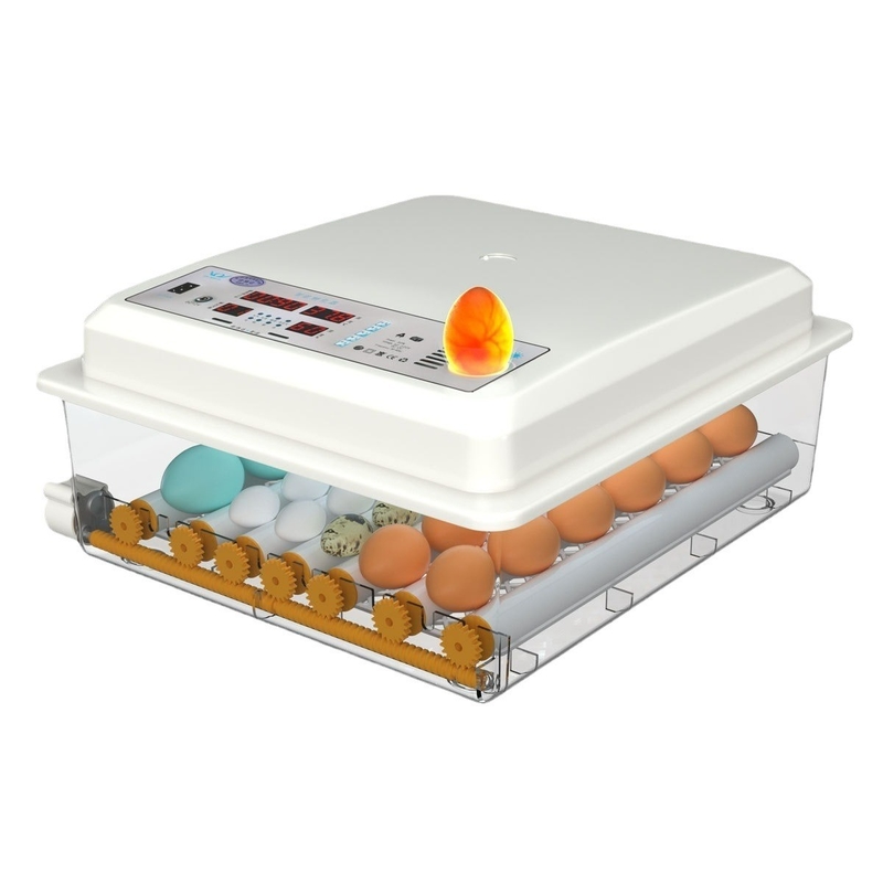 Incubator voor het uitpluimen van kippen, eenden, ganzen en duiven eieren