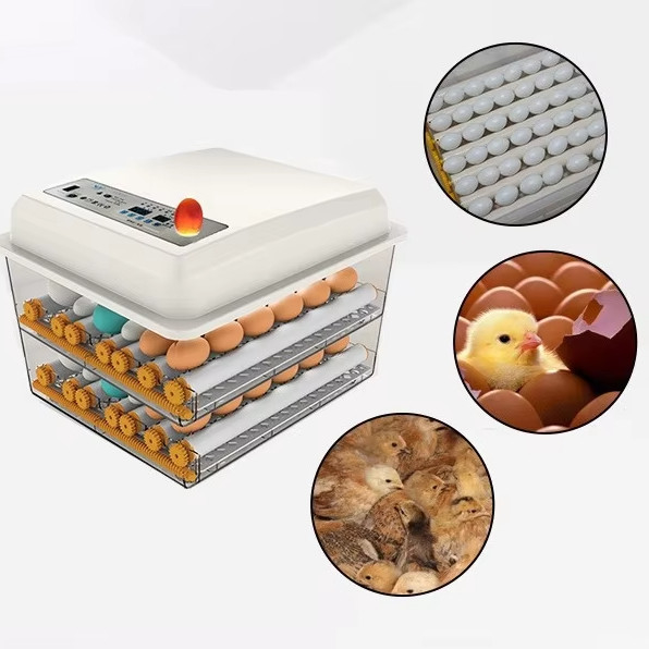 20 GP Laad 70 sets Volledig Automatische Kipenei Incubator voor pluimveehouderij
