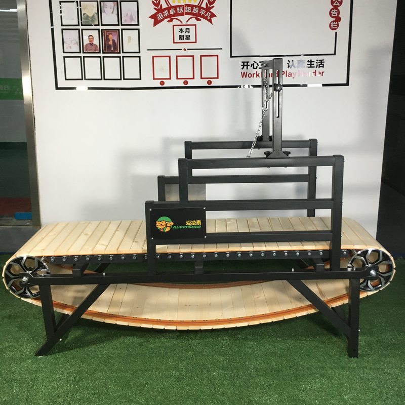 Persoonlijke grootte troeteldier loopband ideaal voor de training van honden en de voortgang van de oefening