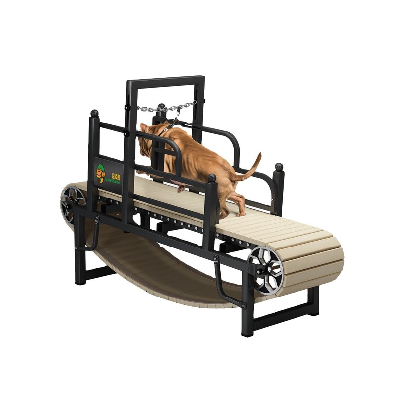 Outdoor trainingstreadmill voor grote honden scheepvaarthaven Shanghai of Nanjing haven