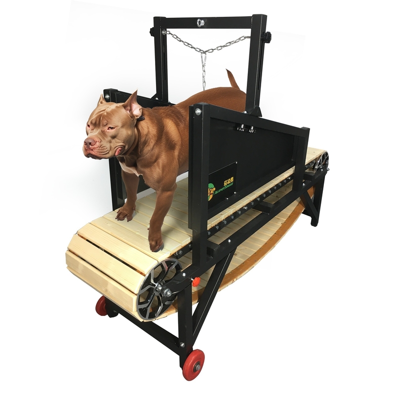 Indoor Outdoor Agility Equipment Houten loopband voor honden van middelgrote omvang