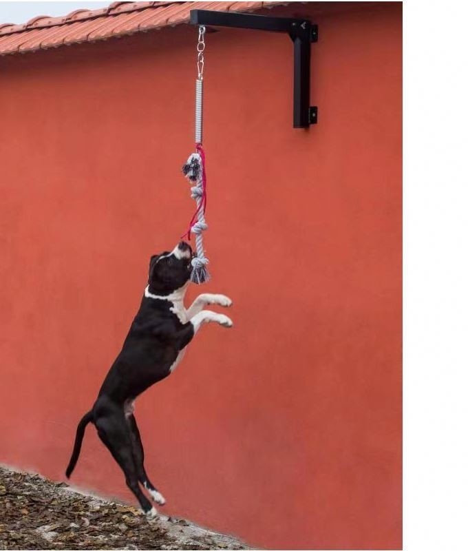Duurzaam en stimulerend touw speeltje voor Pitbull Strong Dog